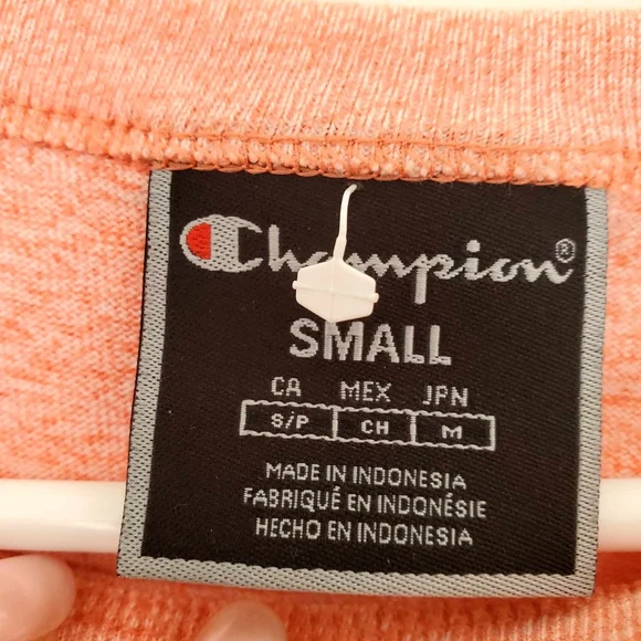 Champion Cropped Tee, Script Logo - Picture 7 of 8